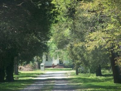 Belle Grove. Click for full size. Belle Grove image. Click for full size.