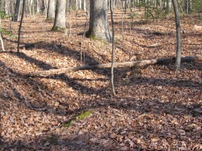 Confederate Trenches. Click for full size. Confederate Trenches image. Click for full size.