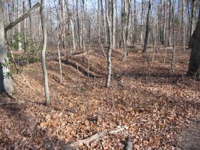 Confederate Trenches. Click for full size. Confederate Trenches image. Click for full size.