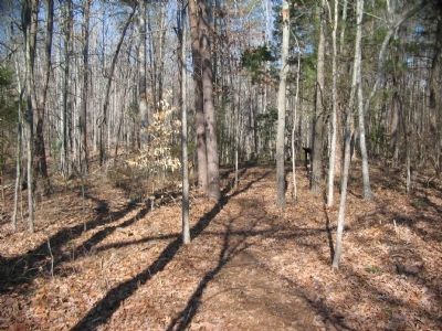 The Trail to Grant's Knoll. Click for full size. The Trail to Grant's Knoll image. Click for full size.