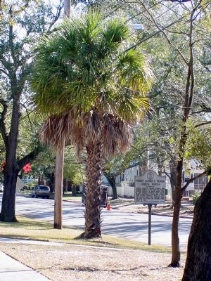 Prince George’s Parish Church, Winyah Marker. Click for full size. Prince George’s Parish Church, Winyah Marker image. Click for full size.