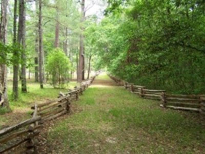The Narrow Road Leading Out Of A Thick Swamp. Click for full size. The Narrow Road Leading Out Of A Thick Swamp image. Click for full size.
