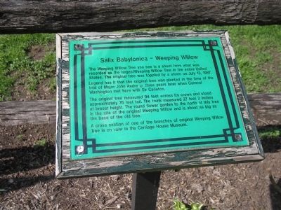 Weeping Willow Marker. Click for full size. Weeping Willow Marker image. Click for full size.