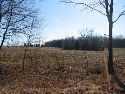 Chewning Farm Fields. Click for full size. Chewning Farm Fields image. Click for full size.