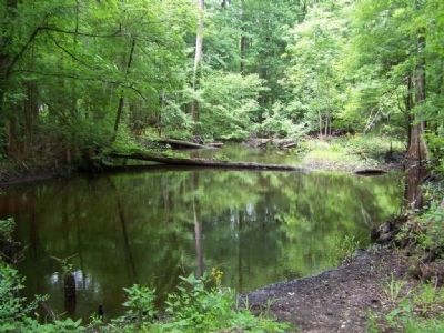 "This Indescribably Ugly Salkehatchie " on an April Day. Click for full size. "This Indescribably Ugly Salkehatchie " on an April Day image. Click for full size.