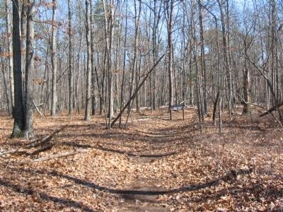Third Wayside on the Loop Trail image. Click for full size.