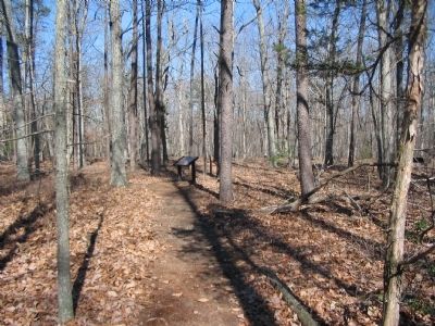Fourth Wayside on the Loop Trail image. Click for full size.
