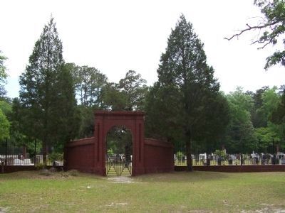 The Town of Ebenezer Cemetery image. Click for full size.
