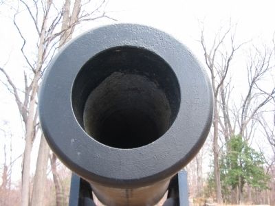 15-inch Muzzle image. Click for full size.