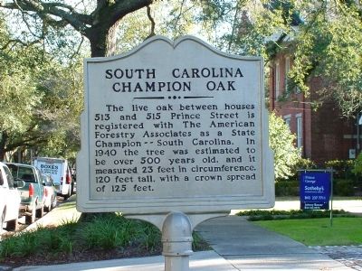 South Carolina Champion Oak Marker. Click for full size. South Carolina Champion Oak Marker image. Click for full size.