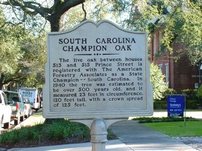 South Carolina Champion Oak Marker image. Click for full size.