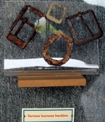 Various Harness Buckles image. Click for full size.