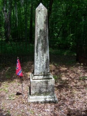 Cemetery Grave for Confederate image. Click for full size.