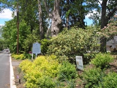 Marker on Schraalenburg Road. Click for full size. Marker on Schraalenburg Road image. Click for full size.