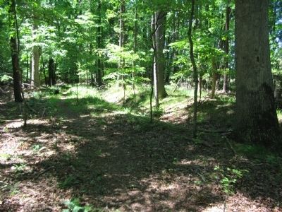 Confederate Trenches image. Click for full size.