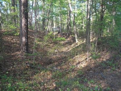 Remains of Earthwork at Battery 45. Click for full size. Remains of Earthwork at Battery 45 image. Click for full size.
