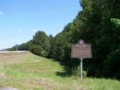 Mulberry Grove Plantation Marker image. Click for full size.