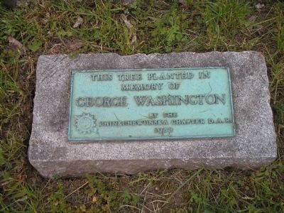 George Washington Tree Marker image. Click for full size.