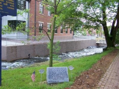 Tree and marker with Falling Spring in the background. image. Click for full size.