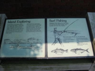 Island Exploring and Surf Fishing Informational Signs image. Click for full size.