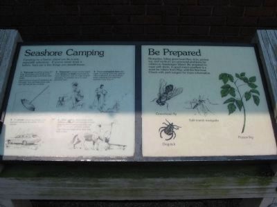 Seashore Camping and Be Prepared Informational Sign image. Click for full size.
