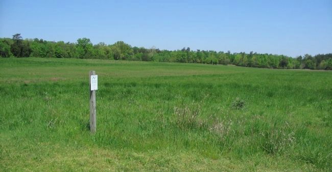 A Portion of the Restored Landscape. Click for full size. A Portion of the Restored Landscape image. Click for full size.