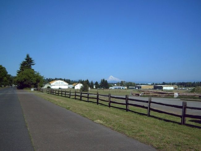 Mount Hood seen over the Pearson Field hangers. image. Click for full size.
