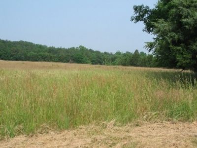 Meadowville Foundations image. Click for full size.