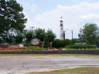 Albergotti Playground, part of Edisto Memorial Gardens image. Click for full size.