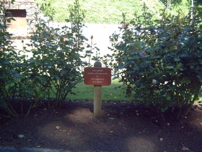 Covington House Rose Garden image. Click for full size.