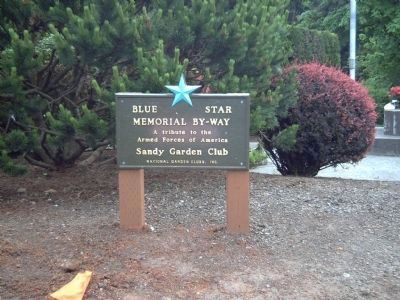 Nearby Blue Star Memorial Highway Marker image. Click for full size.