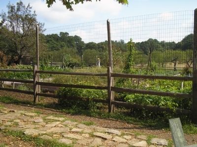 Garden of The Wick Farm. Click for full size. Garden of The Wick Farm image. Click for full size.