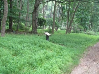 Marker at Jockey Hollow. Click for full size. Marker at Jockey Hollow image. Click for full size.