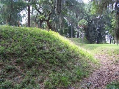 Fort Morris east moat area image. Click for full size.