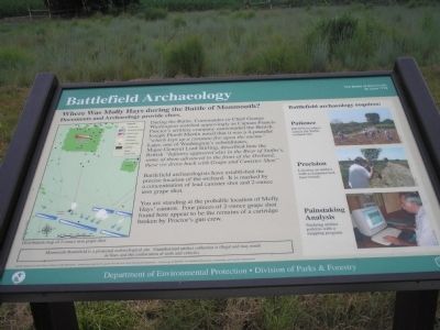 Battlefield Archaeology Marker. Click for full size. Battlefield Archaeology Marker image. Click for full size.