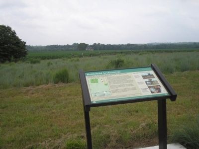 Marker on Monmouth Battlefield. Click for full size. Marker on Monmouth Battlefield image. Click for full size.