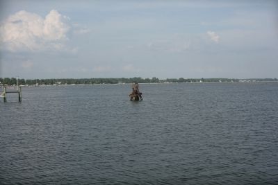 Osprey Nest. Click for full size. Osprey Nest image. Click for full size.