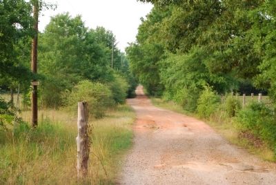 Dirt Road Leading to Sullivan (Grove) Cemetery image. Click for full size.