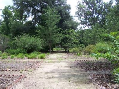 Woodmanston Plantation, more gardens image. Click for full size.
