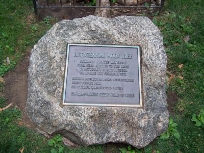 Bicentennial Moon Tree Marker. Click for full size. Bicentennial Moon Tree Marker image. Click for full size.