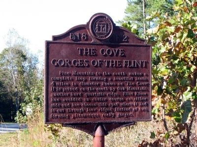 The Cove Gorges of the Flint Marker image. Click for full size.