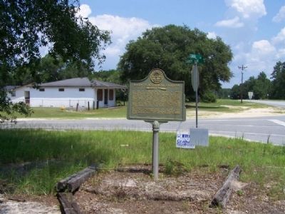 LeConte Botanical Gardens Marker at intersection S.Coastal Hwy (US 17) and Sandy Run Rd. image. Click for full size.