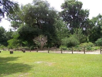 Partial view of todays LeConte Botanical Gardens image. Click for full size.