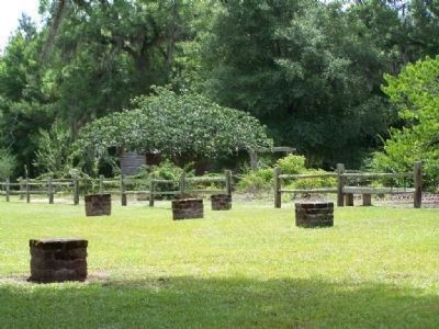 LeConte Botanical Gardens , and site of where Woodmanston Plantation's House once stood image. Click for full size.