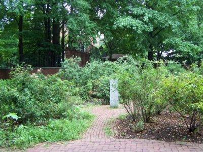 The Rose Garden. Click for full size. The Rose Garden image. Click for full size.