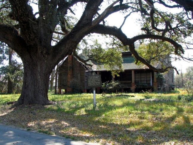 The William Adkins' Live Oak Tree marker, house, and live oak tree image. Click for full size.