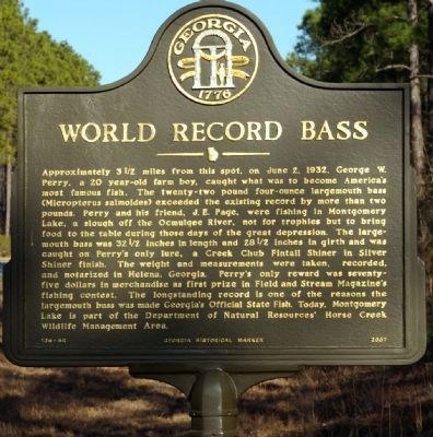 World Record Bass Marker image. Click for full size.