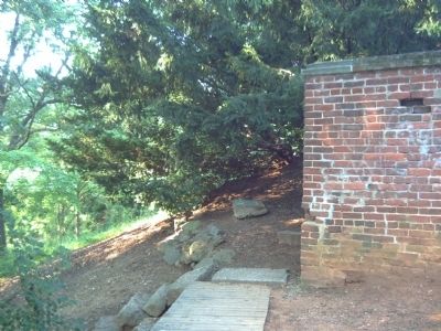 Col. George Eskridge Memorial Tree Marker. Click for full size. Col. George Eskridge Memorial Tree Marker image. Click for full size.