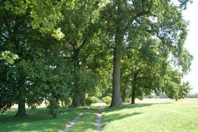 driveway to“Bloomingdale” house. Click for full size. driveway to“Bloomingdale” house image. Click for full size.