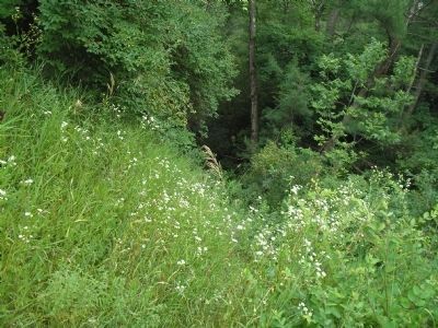 The Great Ravine image. Click for full size.